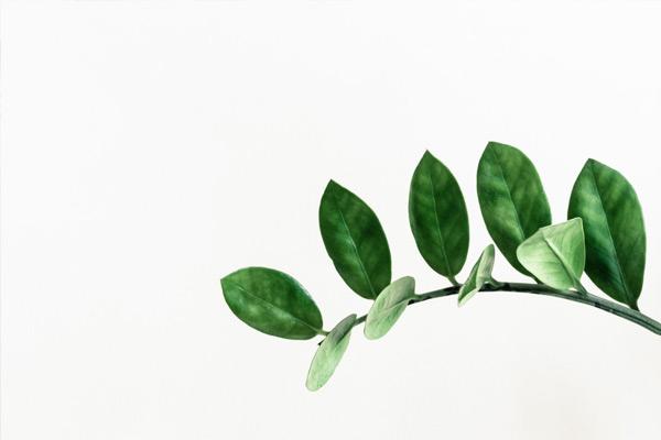 怎樣調節環保污泥干化機的溫度差？